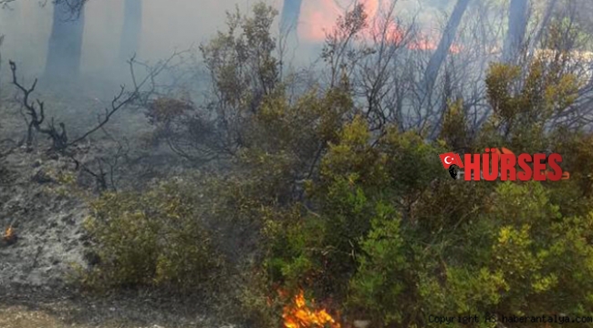 Kaş'ta orman yangını