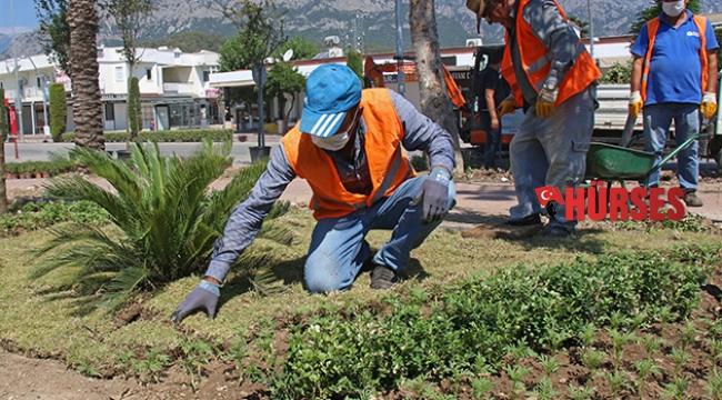 Kemer meydanına 33 bin bitki dikildi