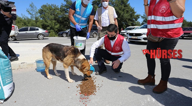 Kepez’e hayvan hastanesi müjdesi