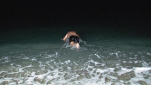 Kısıtlamanın kalkmasının ardından...