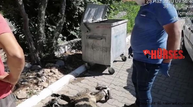 Vicdansızlar yine iş başında !