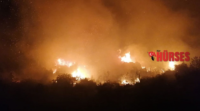 Antalya'da gece başlayan yangında 5 hektarlık ormanlık alan zarar gördü
