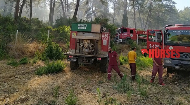 Antalya'da orman yangını
