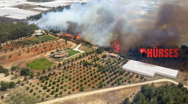Antalya'da orman yangını