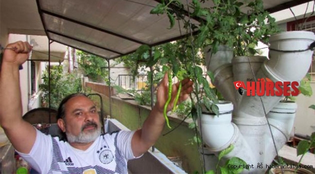 Balkonuna borulardan 'sebze ağacı' yaptı