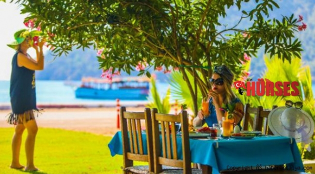 Butik otellerde, organik tatil