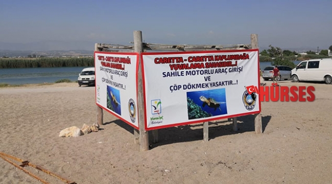 Caretta carettaları korumak için tedbirler artırıldı