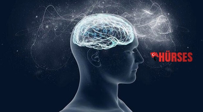 Dünyanın en etkili bilim insanları listesinde Türkiye'den 196 isim