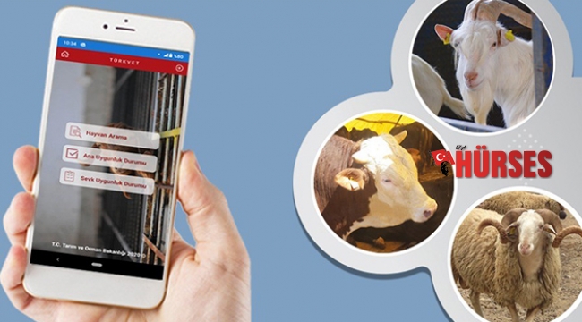 Hayvancılık üreticilerine online uygulama