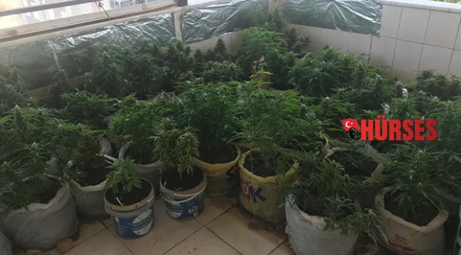 Jandarma gördüklerine inanamadı