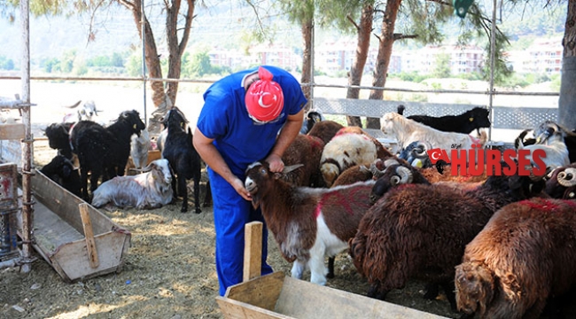 Kemer’de bayram denetimleri sürüyor