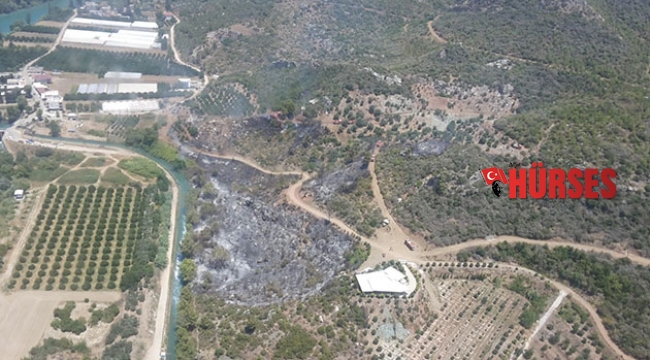 Manavgat'ta orman yangını