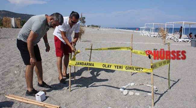 Pandemi döneminde boşalan sahiller Caretta Caretta'lara kaldı