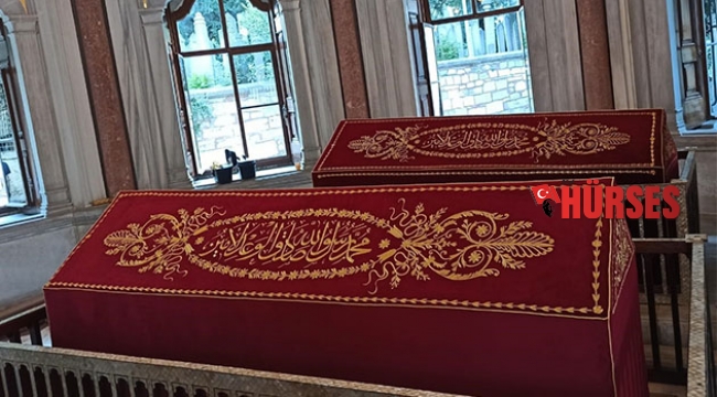 Sanduka örtüsü puşideler koruma altında