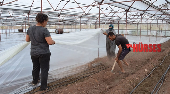 Seralarda solarizasyon dönemi başladı