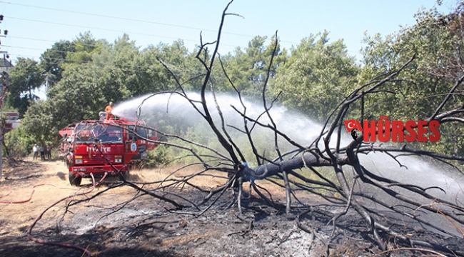 Sıcak sebebiyle aşırı yüklenen trafo yangına sebep oldu