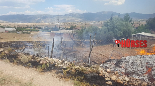 Tellere temas eden kargalar yangına sebep oldu