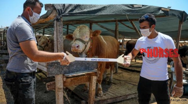 Tokalaşma kiti pazarlığın hararetine dayanamadı
