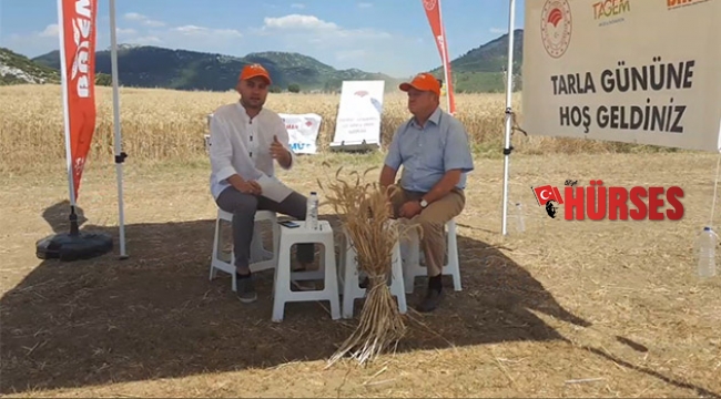 Yerli ve milli buğday çeşidi online tarla günü ile tanıtıldı
