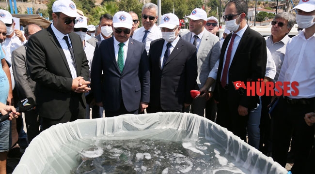 Zehirli balon ve aslan balıklarının biyolojisi çözülüyor