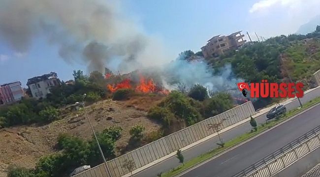 Alanya'da çıkan yangın yerleşim yerlerin sıçramadan söndürüldü