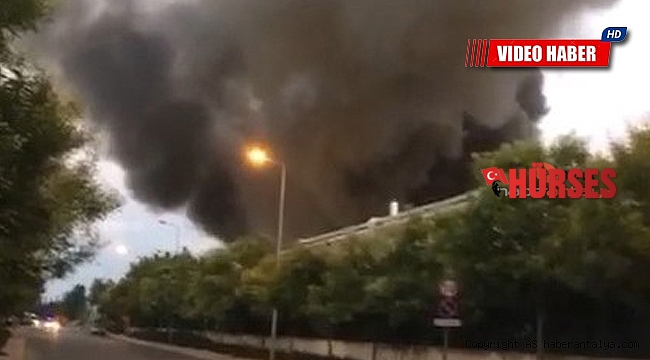 Antalya'da dev yangın