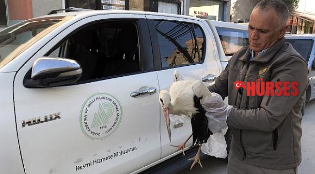 Bacakları kırık leylek tedaviye alındı  
