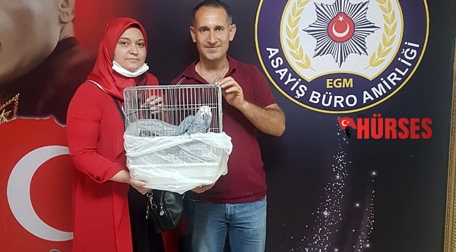 Çalınan ödüllü papağanı polis buldu