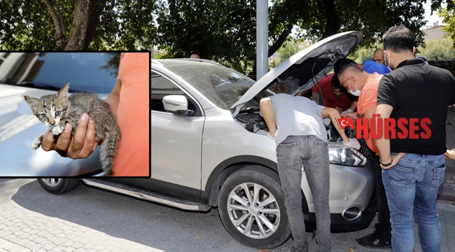 Cipin motoruna giren yavru kedi kurtarıldı
