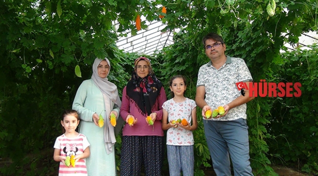 İşsiz kalınca kudret narıyla tanıştı, hayatı değişti