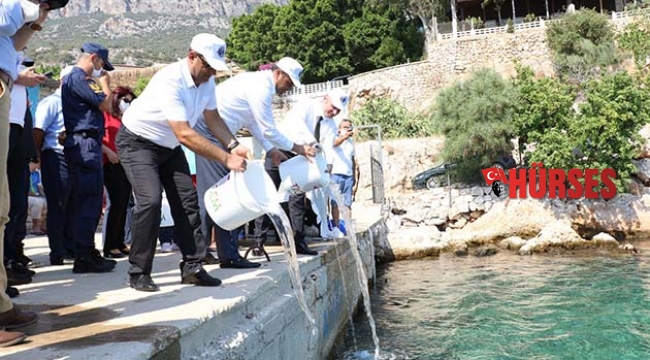 Kaş’ta 15 bin yavru balık denize salındı