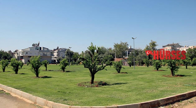 Kepez’e 30 ağaçlı portakal bahçesi kazandırıldı