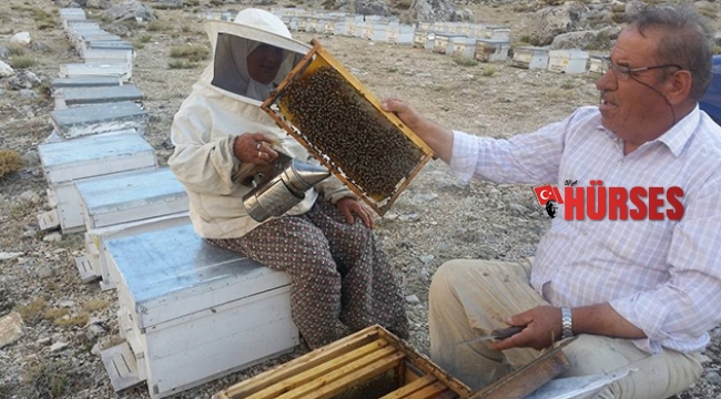 Korkuteli’de ilk bal hasadı yapıldı