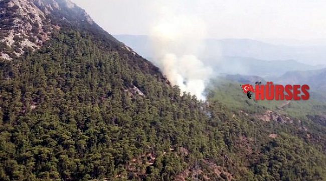 Marmaris'te orman yangını