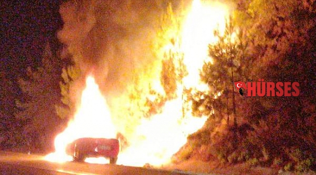 Otomobilde çıkan yangın, ormana da sıçradı