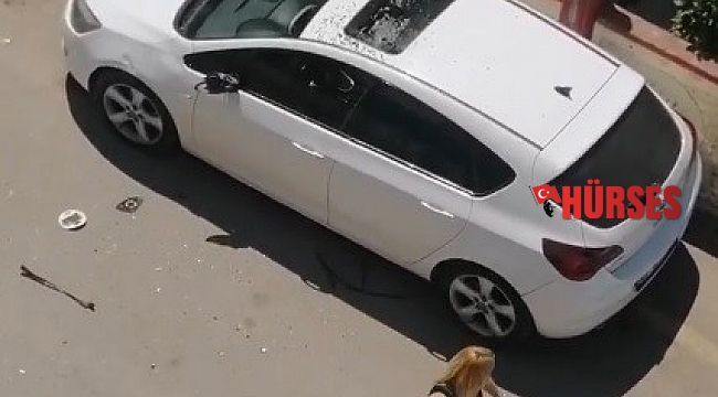 Park halindeki otomobile demir çubukla saldırdı