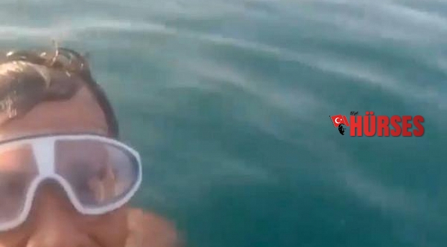 Akdeniz fokuyla selfie