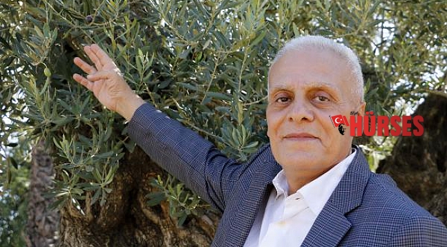 Akdeniz'de zeytinin 'yok yılı'