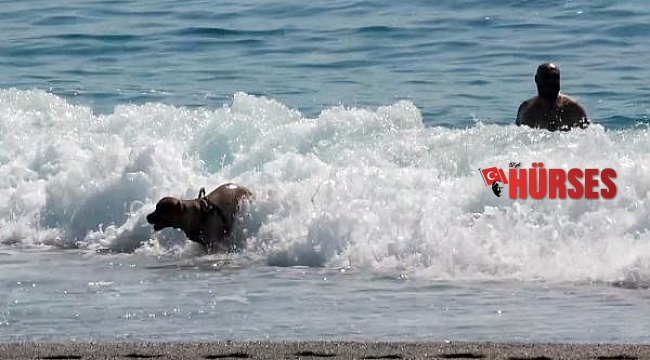 Alanya sıcağında, köpeğiyle denizde serinledi