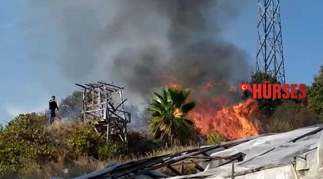 Alanya'da çalılık alanda çıkan yangın, evlere sıçramadan söndürüldü