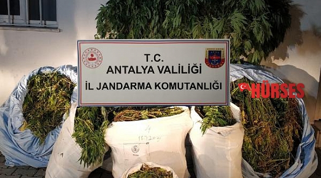 Antalya'da 161 kilo esrar ele geçirildi