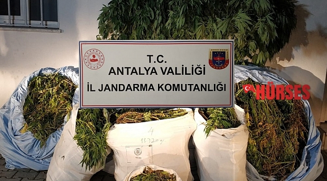 Antalya'da 161 kilo uyuşturucu madde ele geçirildi