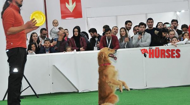 Antalya'da evcil hayvan ürünleri fuarı açılıyor