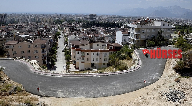Barış Mahalles Akdeniz bitkileriyle süslenecek