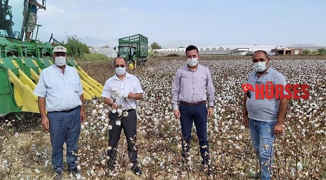 Bu yıl üreticinin yüzü susamla gülecek