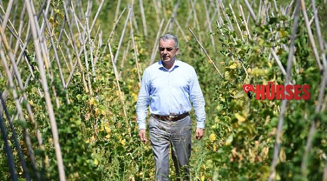Çandır fasulyesinde üretim 3 yılda 15 kat arttı