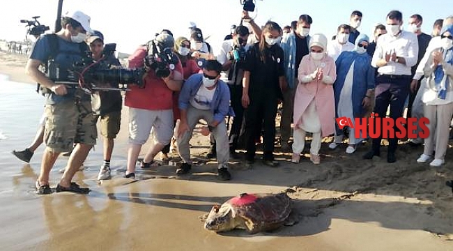 Caretta 'Likya' Libya'ya, 'Patara' Meis'e gitti