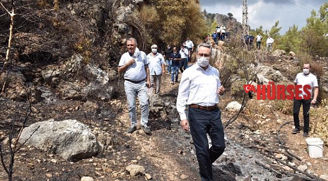 CHP'li Zeybek'ten orman yangınları önergesi