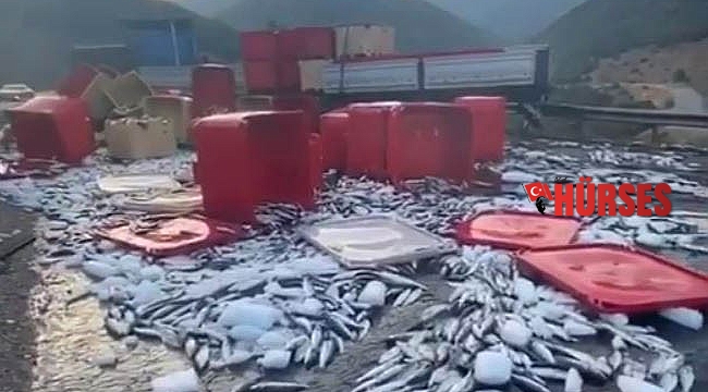 Dorse kapağı açıldı, tonlarca balık yola savruldu