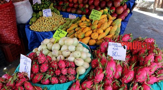 Faydaları saymakla bitmeyen longon ve mangostanın fiyatı şaşırtıyor